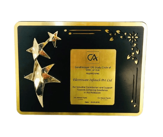 CA Excellence Award - Electroware Infotech